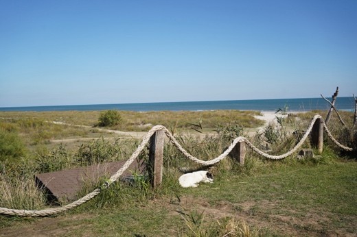 Picture3